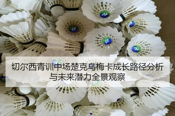 切尔西青训中场楚克乌梅卡成长路径分析与未来潜力全景观察