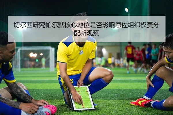 切尔西研究帕尔默核心地位是否影响恩佐组织权责分配新观察